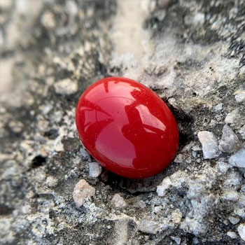 RED CORAL